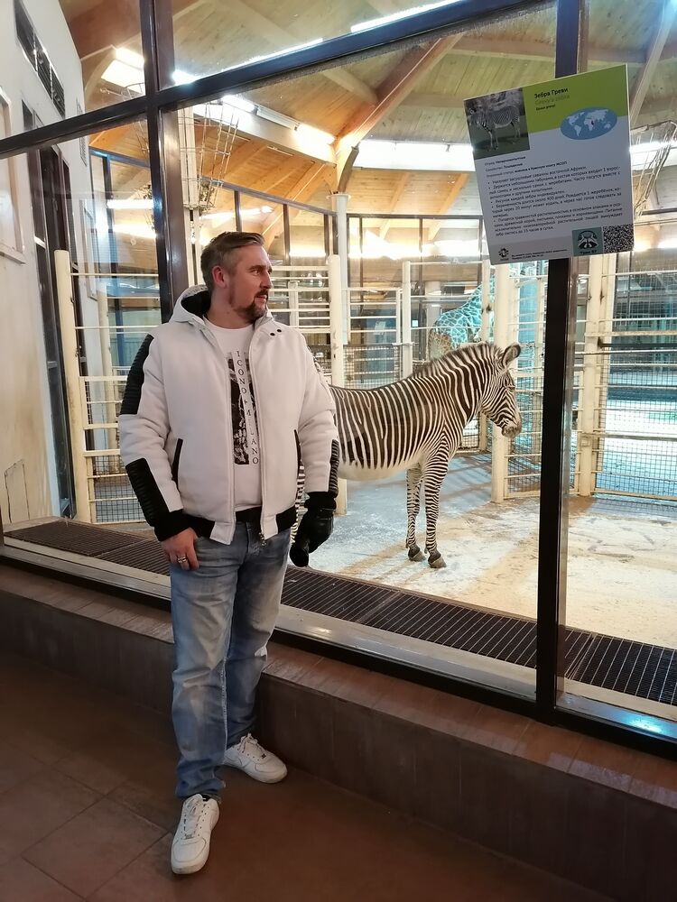  ,   , 43 ,   ,   