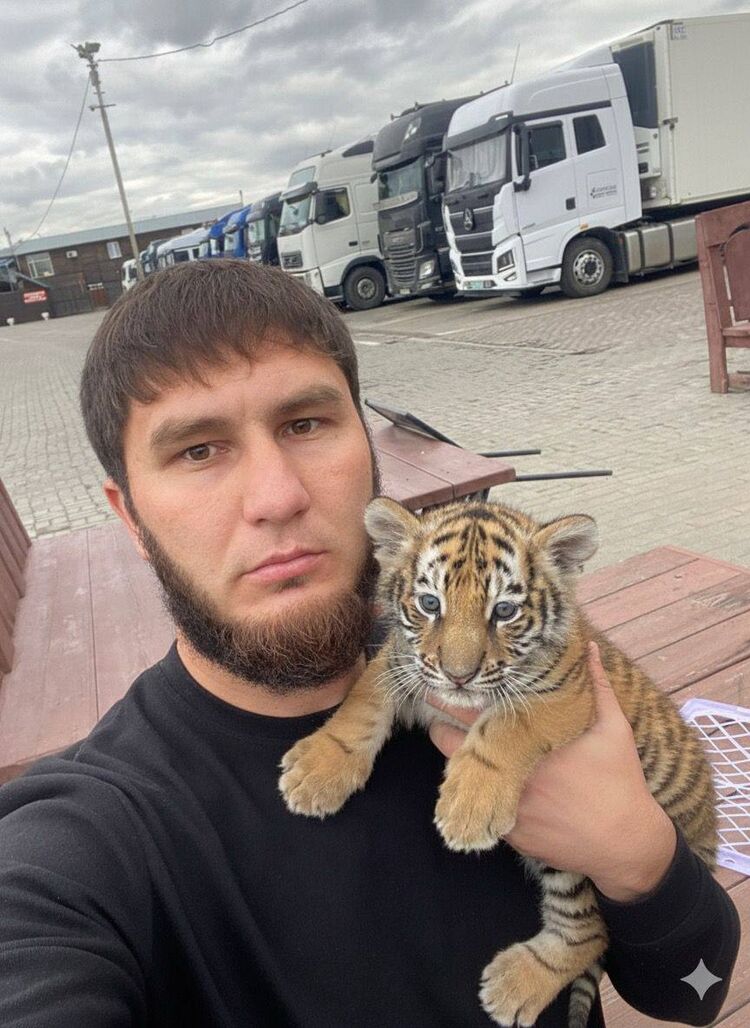 ���� 54335304 ������� �����, 31 ���, ���� ���������� � ���������