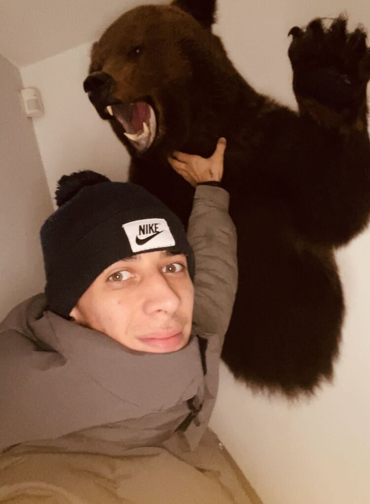 ���� 31086914 ������� �����, 33 ����, ���� ���������� � ������������