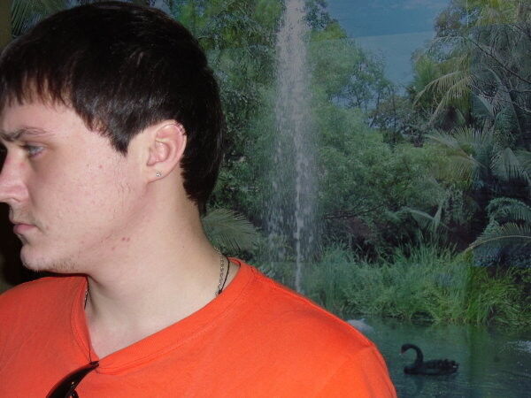 ���������� �������, ���� ������� �������, 36 ���, ������������ ��� ����� � ���������, c�������� ���������