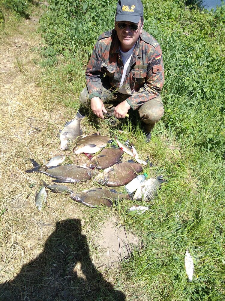 ���������� Halle, ���� ������� ��������, 55 ���, ������������ ��� ������, ����� � ���������, c�������� ���������, ���������