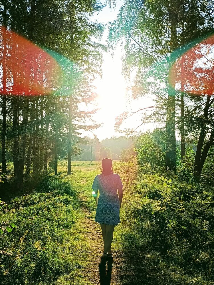 ���������� �������, ���� ������� �����, 36 ���, ������������ ��� c�������� ���������