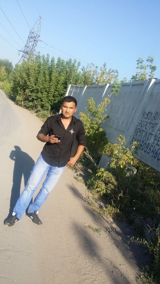  7923544  , 33 ,    