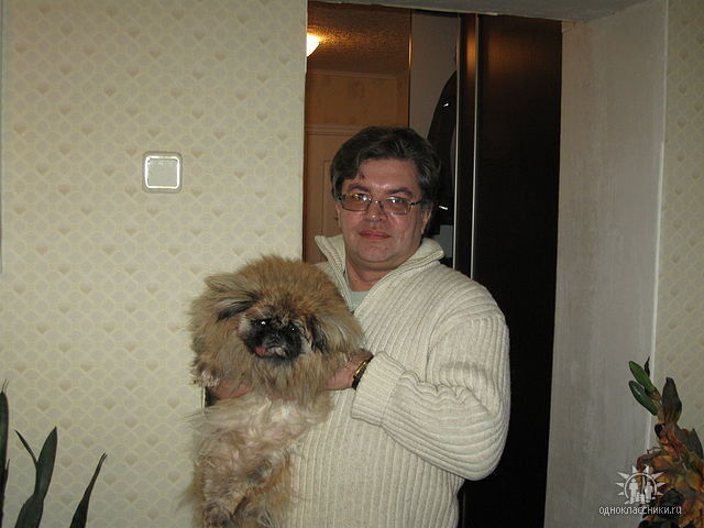 ���� 10985754 ������� Vovan, 55 ���, ���� ���������� � ������