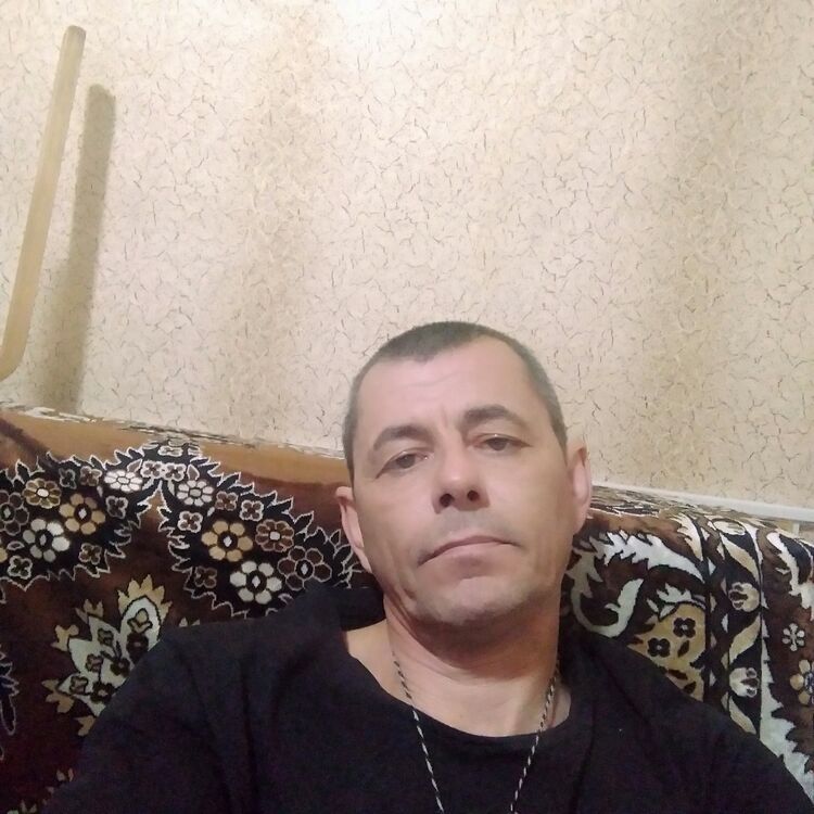  50129374  , 45 ,    