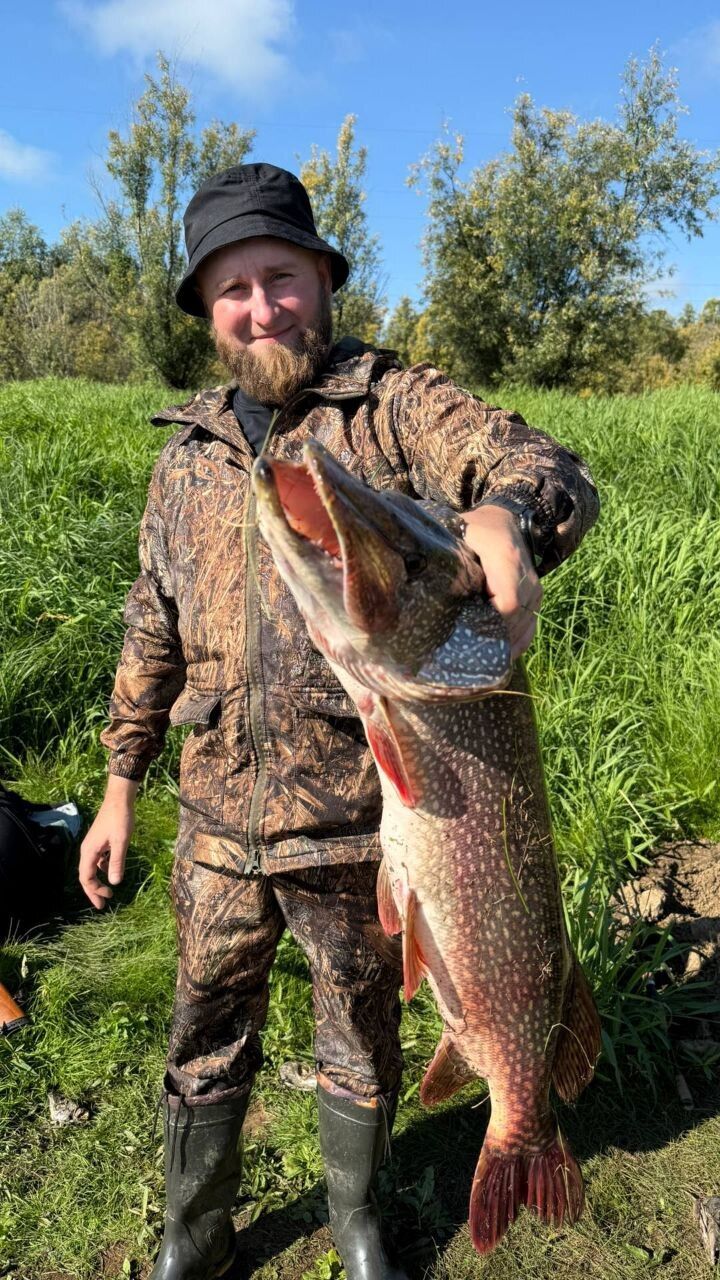 ���������� ������������, ���� ������� ������, 35 ���, ������������ ��� ������, ����� � ���������, c�������� ���������