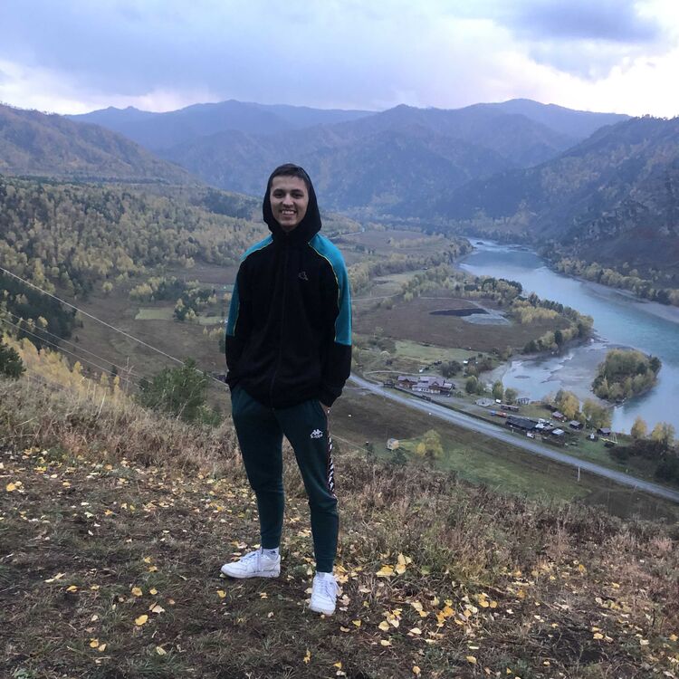 ���� 31381594 ����� ���������, 24 ����, ���� ���������� � ������