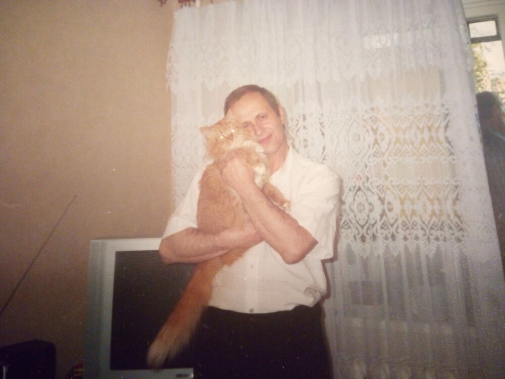  ,   , 71 ,   ,   , c 