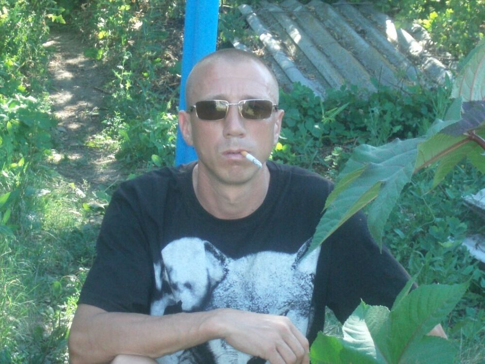  39793924  , 43 ,    