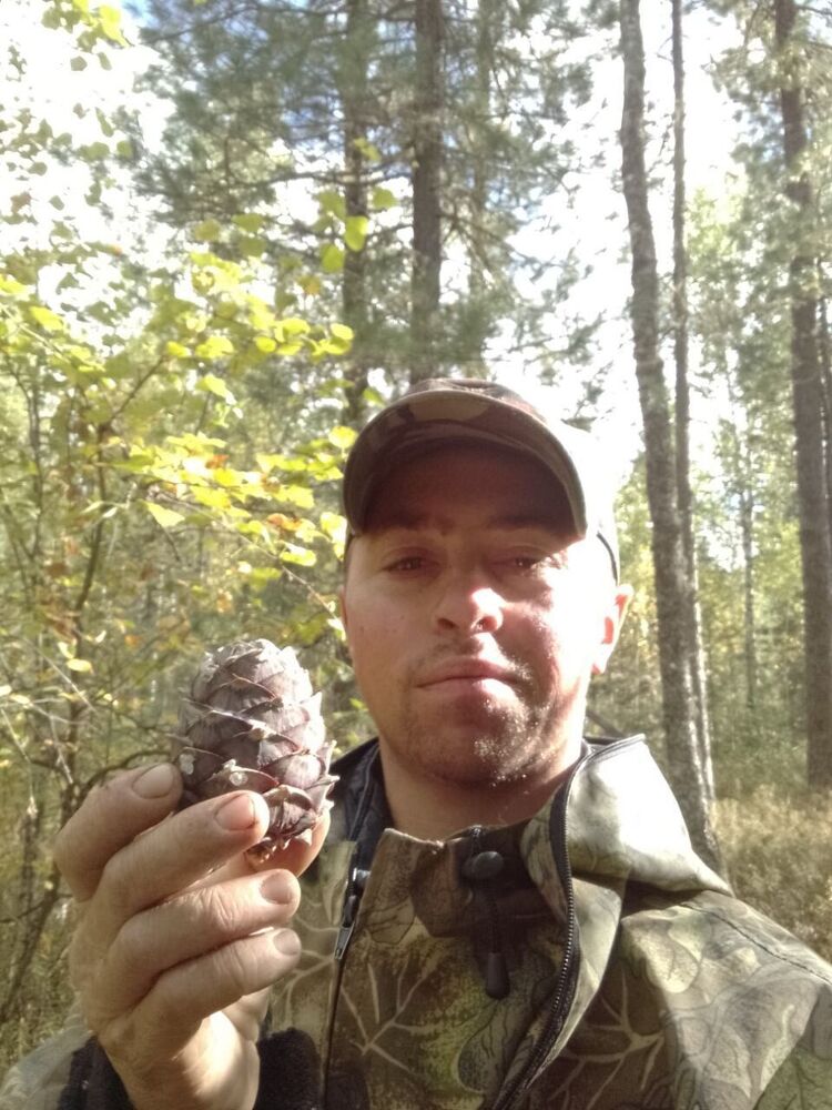 ���������� �������������, ���� ������� �������, 33 ����, ������������ ��� ������, ����� � ���������, c�������� ���������