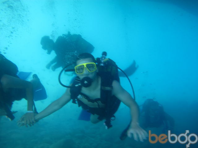 ���������� �����, ���� ������� �����, 33 ����, ������������ ��� ������