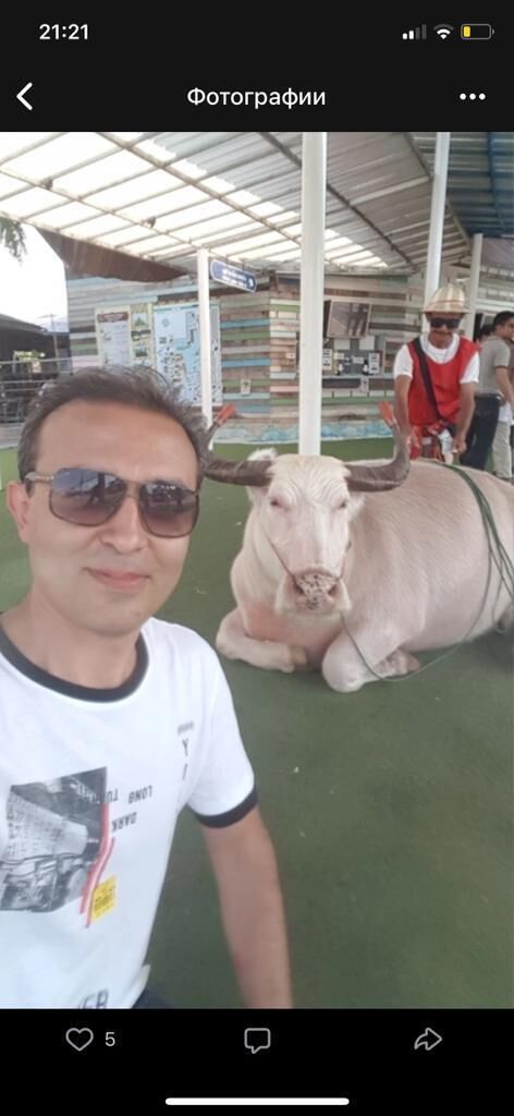 44176984  Mohsen, 40 ,    