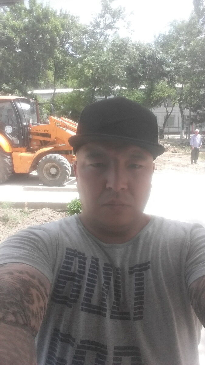  16567174  , 43 ,    