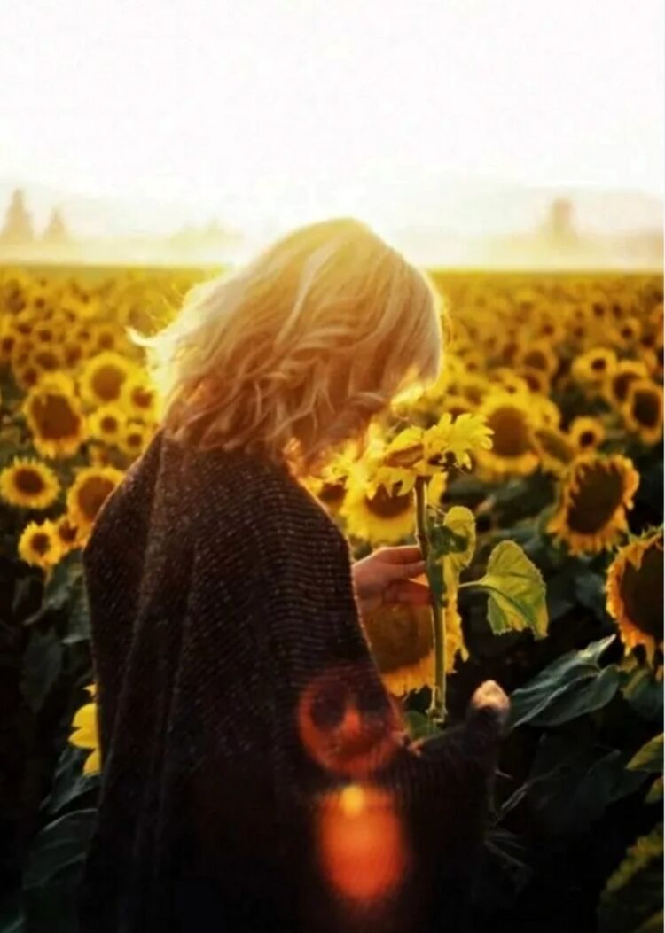 ���� 54247174 ������� �����, 45 ���, ���� ���������� � ��������