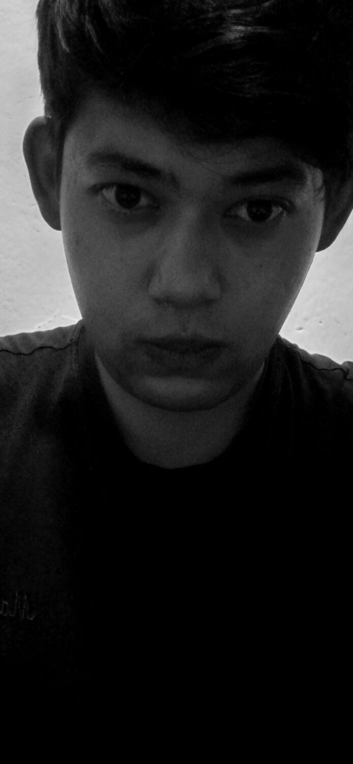 ���� 53067204 ������� �����, 26 ���, ���� ���������� � �����