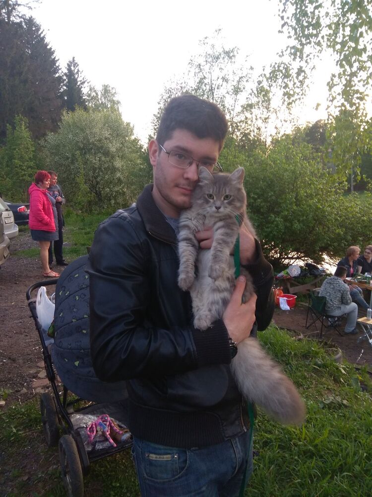  12389594  , 34 ,    -