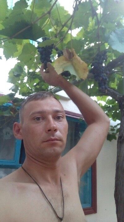 ���� 13058994 ������� ����, 39 ���, ���� ���������� � ����������