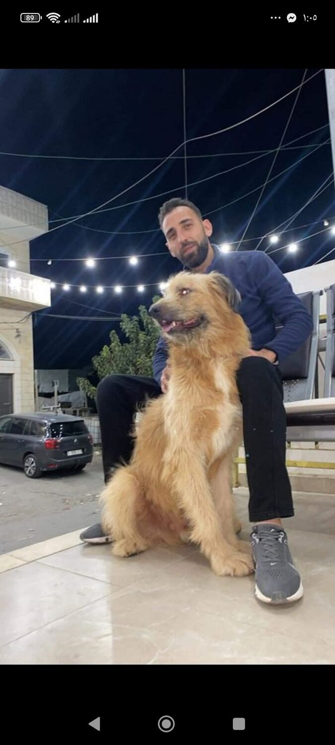 ���������� Bethlehem, ���� ������� ����, 41 ���, ������������ ��� ������, ����� � ���������, c�������� ���������