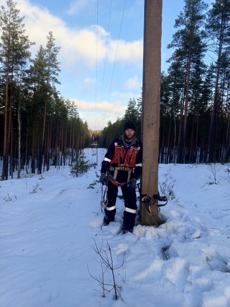 ���������� �����������, ���� ������� �������, 38 ���, ������������ ��� ������, ����� � ���������