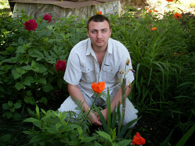 ���������� �������, ���� ������� ������, 44 ����, ������������ ��� ����� � ���������, c�������� ���������