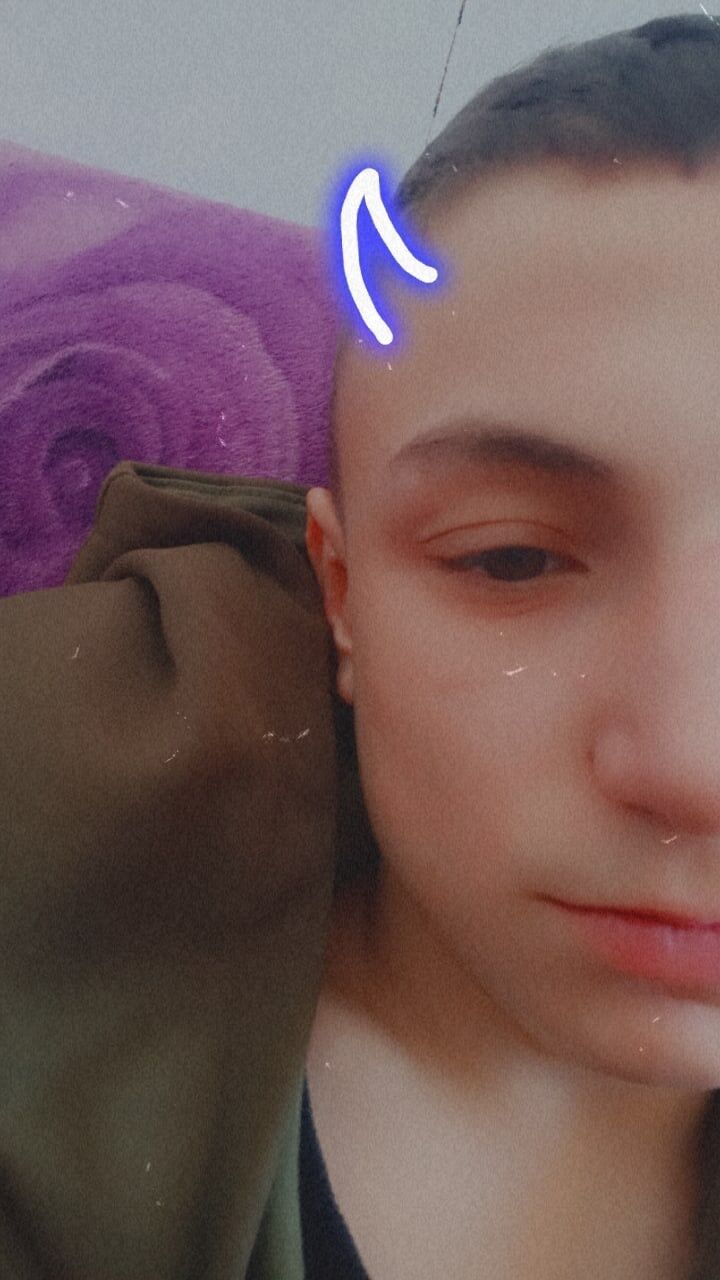  41529684  , 20 ,     