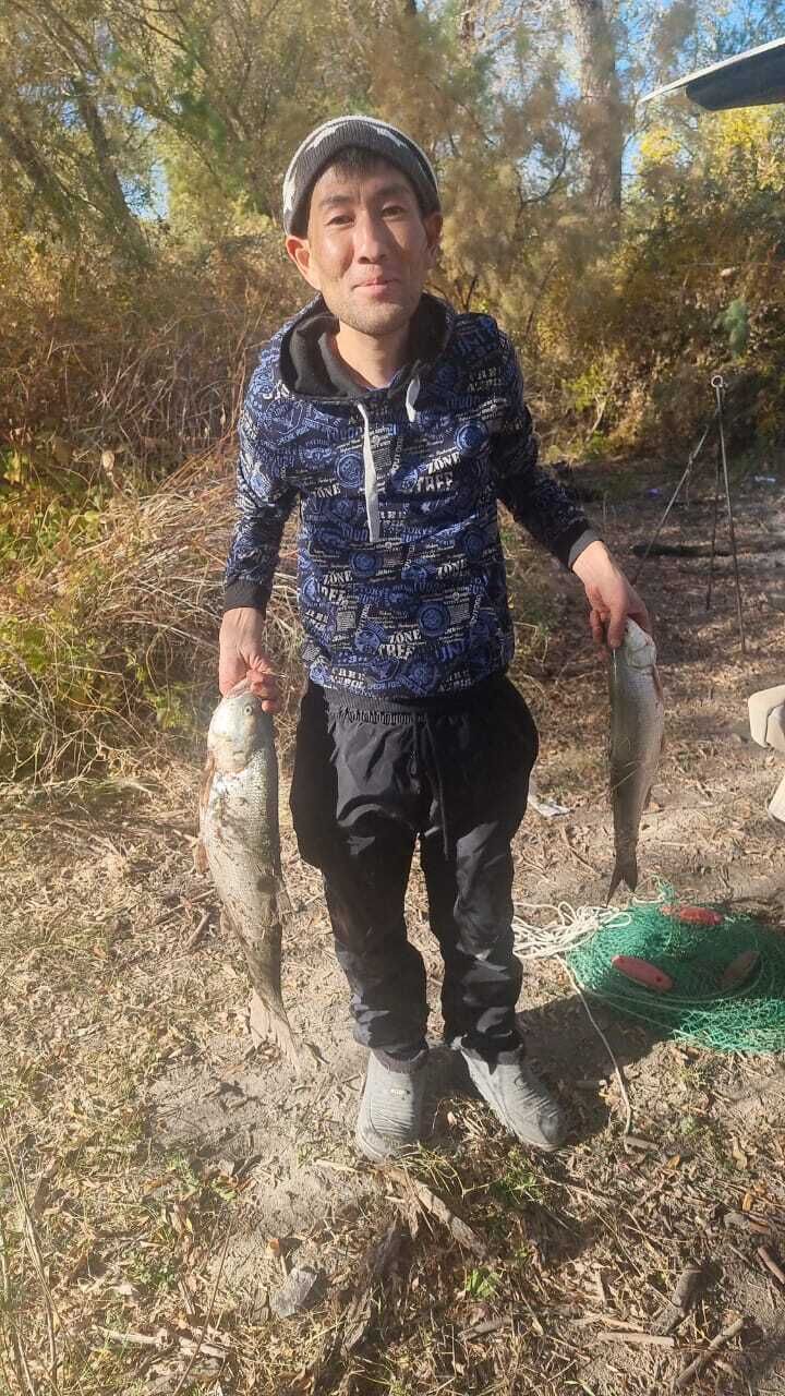 ���������� ������, ���� ������� �������, 34 ����, ������������ ��� c�������� ���������