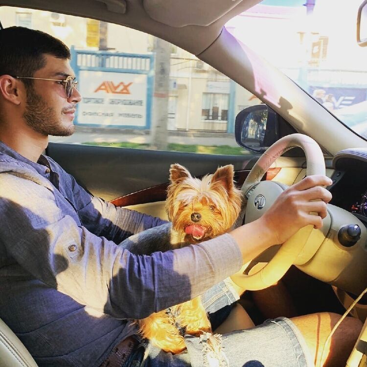 ���� 22140614 ������� ���, 29 ���, ���� ���������� � ���������