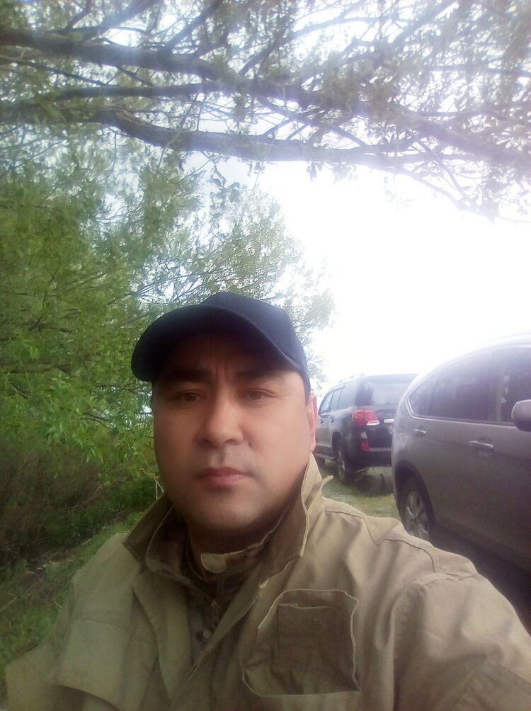  17512914  , 50 ,    