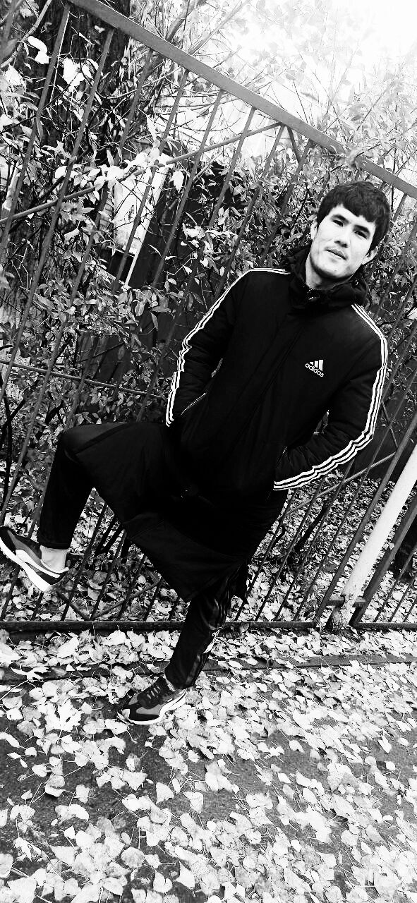 ���� 31866384 ������� �����, 28 ���, ���� ���������� � ���������