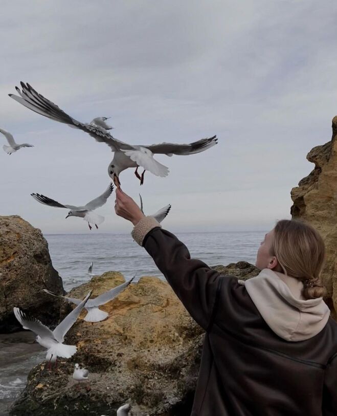 ���������� ������, ���� ������� ������, 25 ���, ������������ ��� ������, ����� � ���������