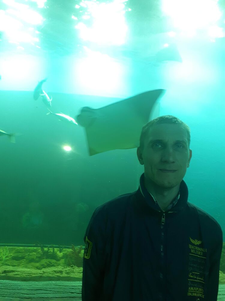 ���� 42619434 ������� ������, 44 ����, ���� ���������� � �������������