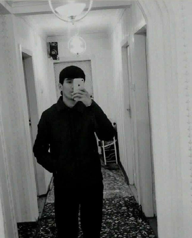  41176184  , 20 ,    