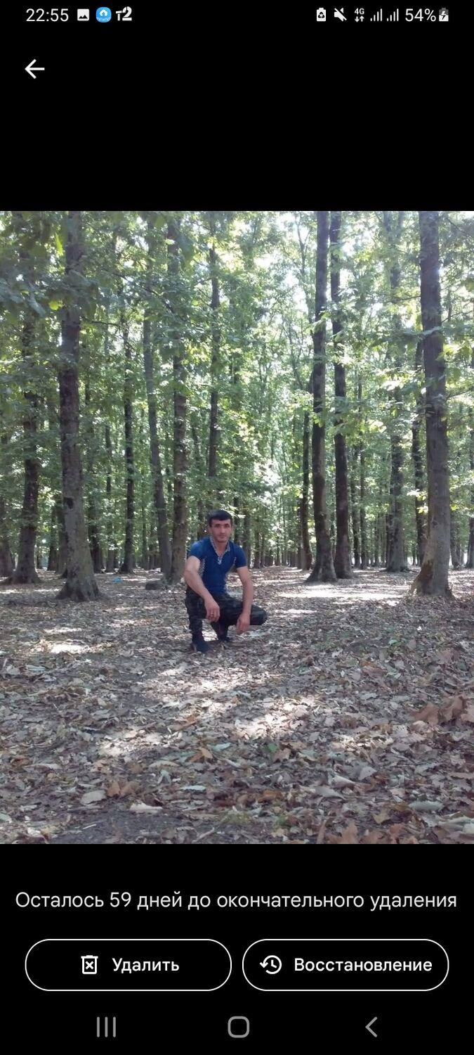 ���������� ��������, ���� ������� ������, 39 ���, ������������ ��� ������, ����� � ���������, c�������� ���������, ���������