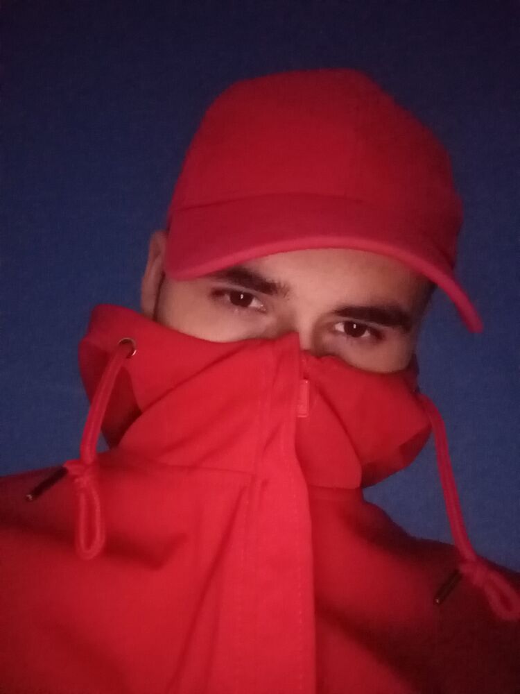  28303554  , 24 ,    