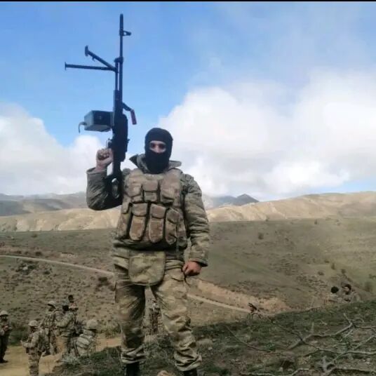 ���� 41708434 ������� Elvin, 41 ���, ���� ���������� � �����-����������