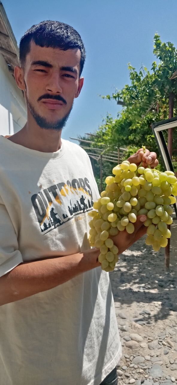  29825834  , 25 ,    -