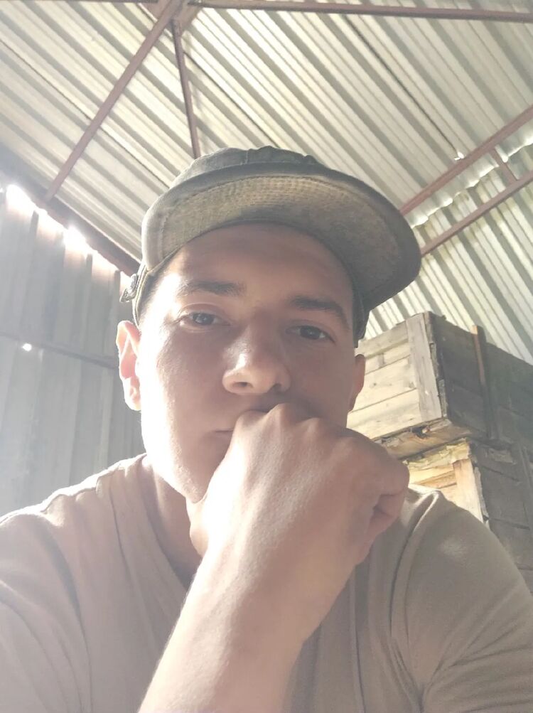 ���������� ���������, ���� ����� ����, 23 ����, ������������ ��� ������, ����� � ���������, c�������� ���������, ���������