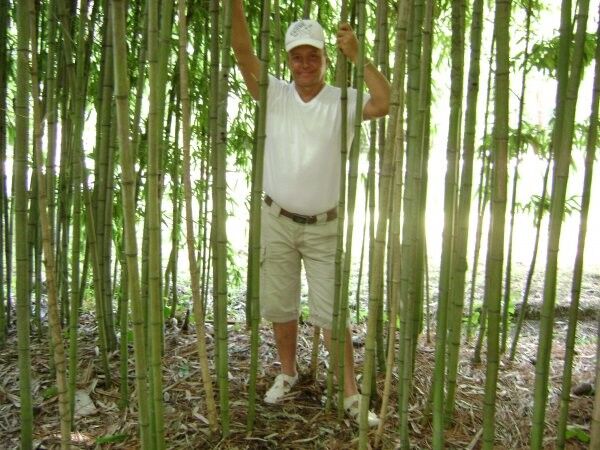 ���������� ��������, ���� ������� ���������, 58 ���, ������������ ��� ������