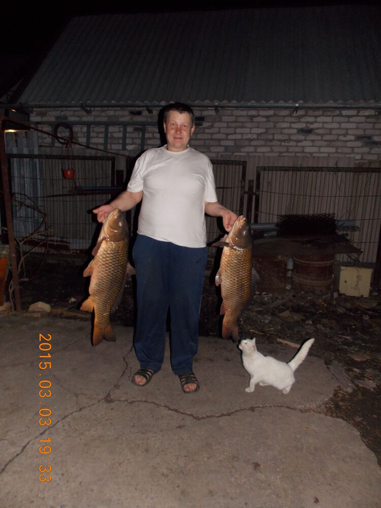 ���� 9553854 ������� ������, 50 ���, ���� ���������� � ���������