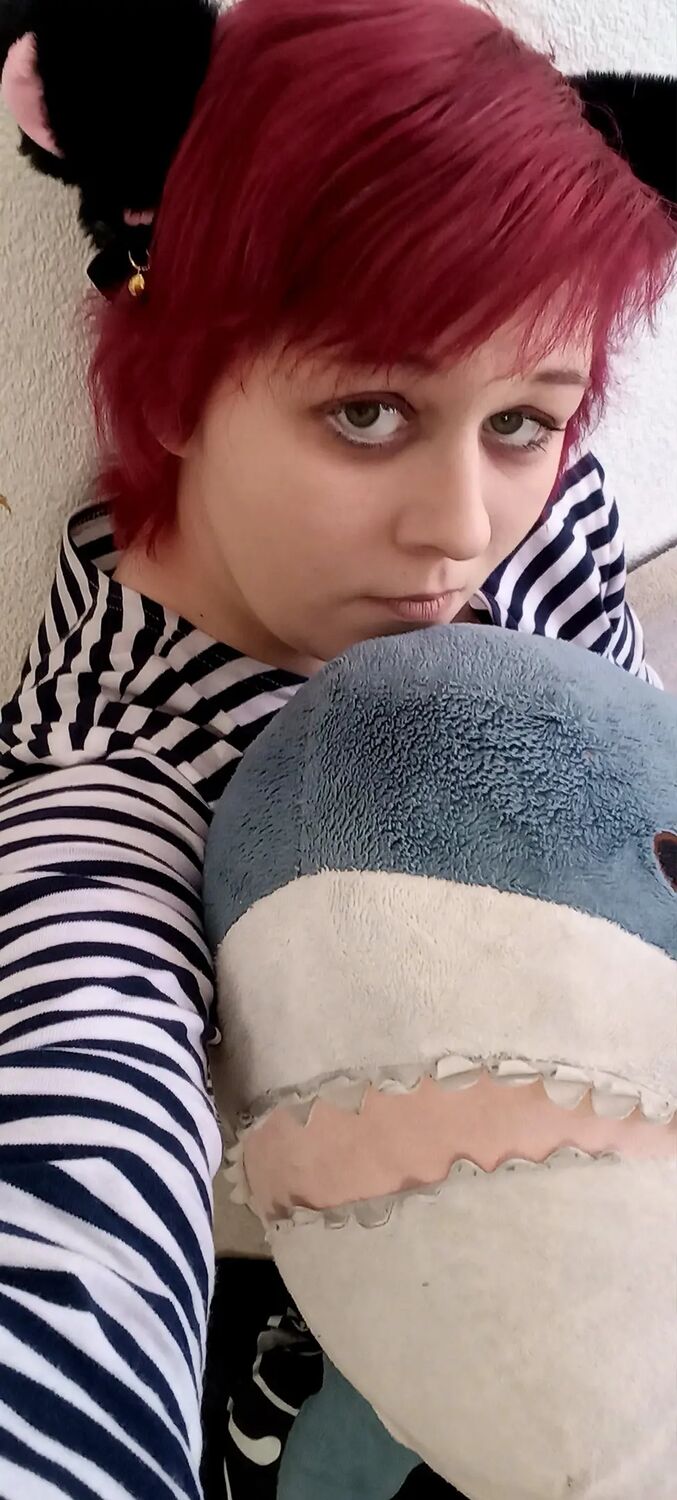  -,   , 26 ,     , 