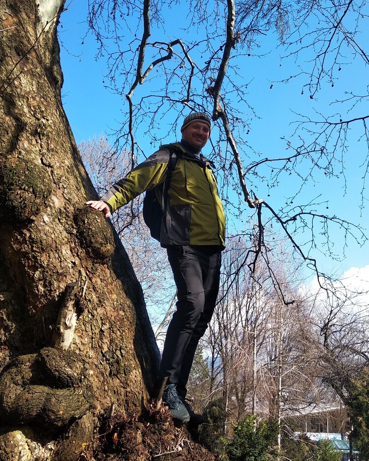 ���������� �������, ���� ������� ������, 44 ����, ������������ ��� ������, ����� � ���������