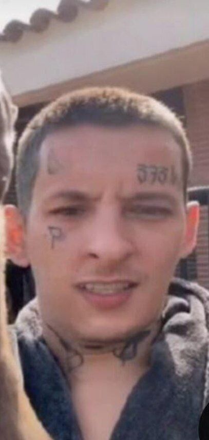 ���� 28195774 ����� �����, 22 ����, ���� ���������� � ������