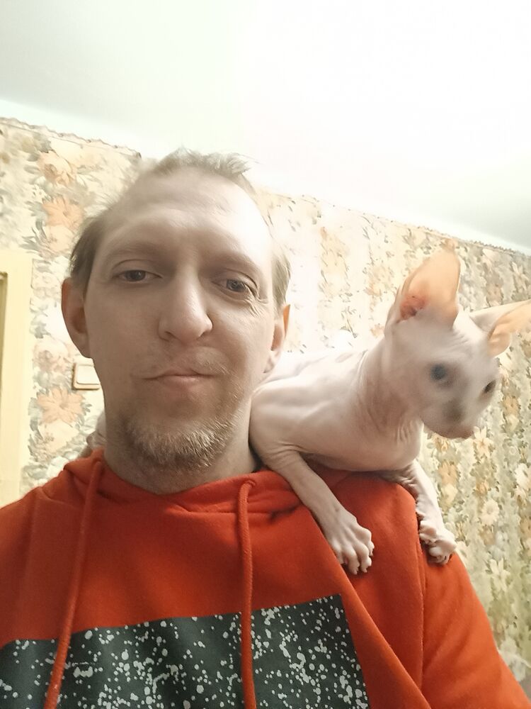 ���� 40828224 ������� ������, 37 ���, ���� ���������� � ���������