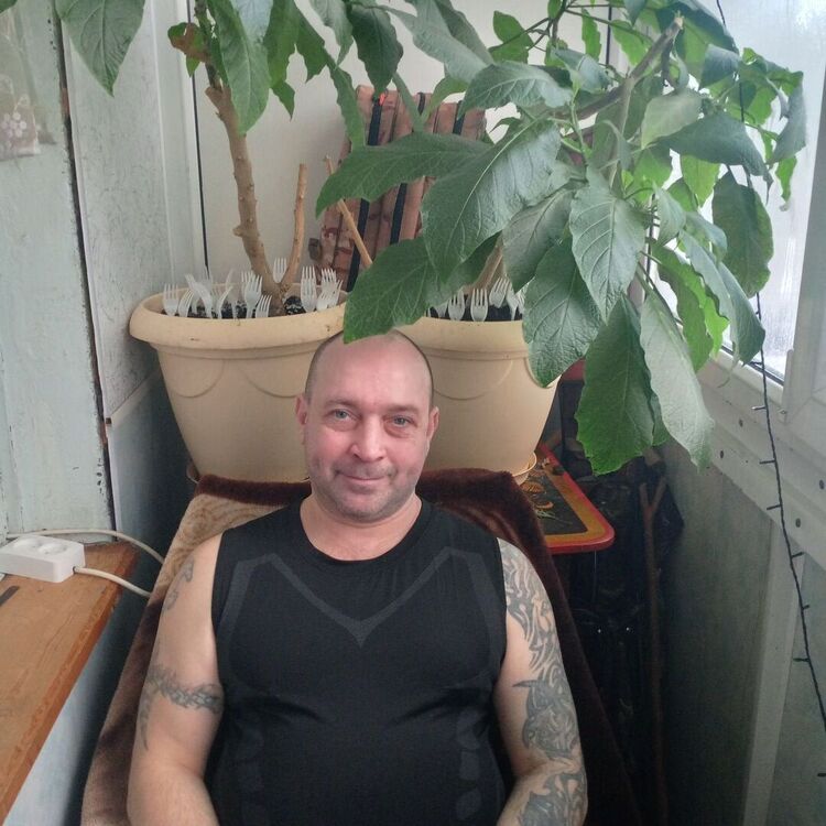 ���� 55818214 ������� ���������, 47 ���, ���� ���������� � �������-��-����