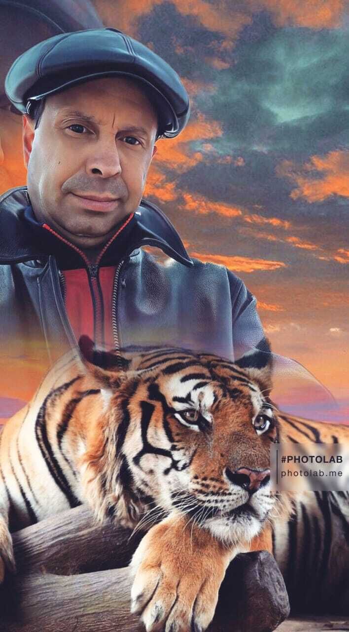  32588424  , 51 ,    