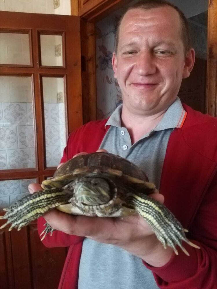 ���� 55305064 ������� ������, 43 ����, ���� ���������� � ������