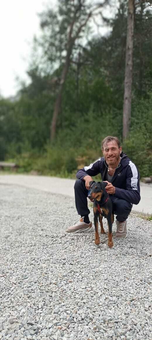 ���� 38589994 ������� �������, 35 ���, ���� ���������� � ������