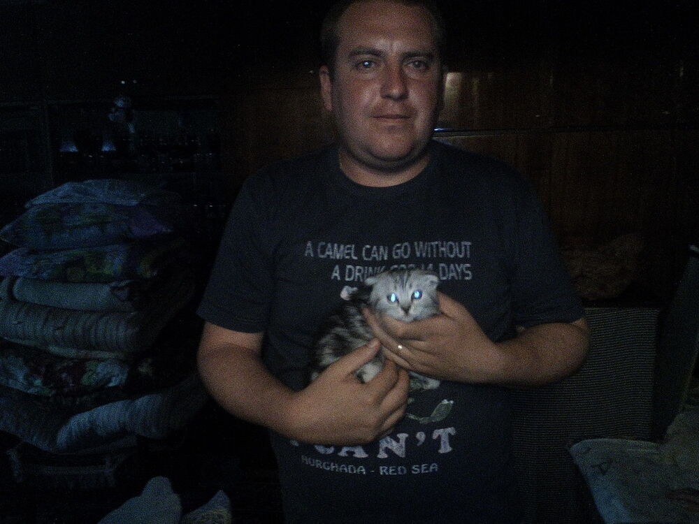 ,   , 39 ,   