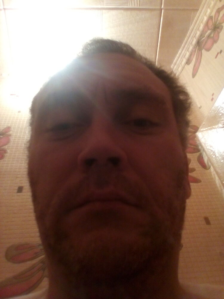  8378374  , 51 ,    