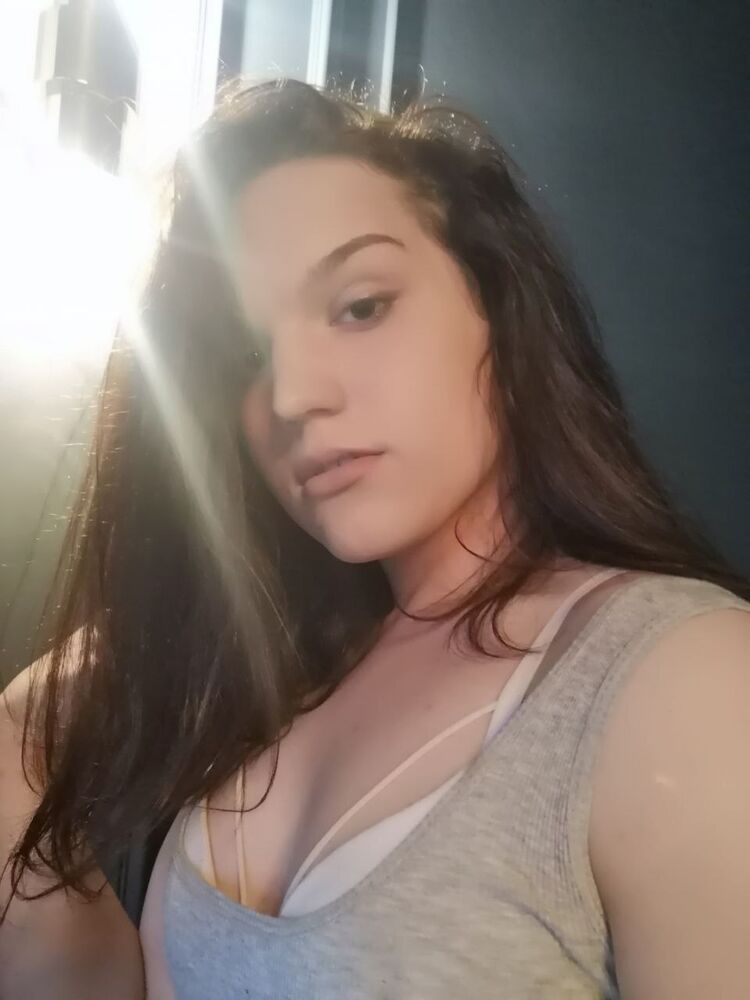  24088754  , 26 ,    -